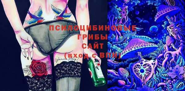 mdma Белокуриха